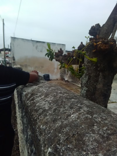 Photos of Hotel Don Fernando