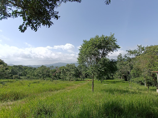 Los cedros San Fernando camping
