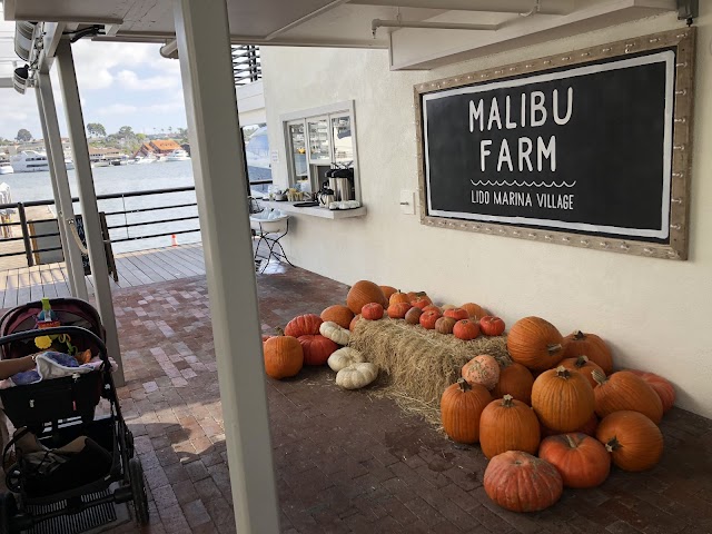 Malibu Farm Lido