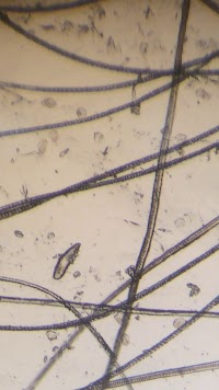 垂水オアシス動物病院