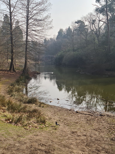 Wandelbos Gallery - Netherlands