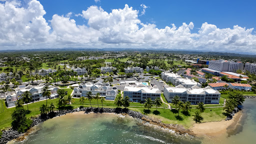 Martha Nasser Realty