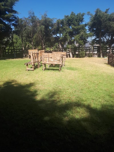 Photos of Club Campestre El Pedregal