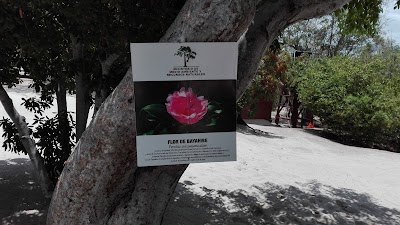 Photos of Isla Saona (Reserva Nacional Parque Del Este)
