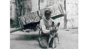 Photo n°9 de TP Ex à Vallauris (Entrepreneur)