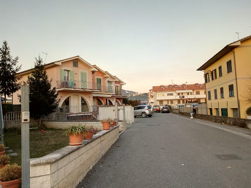 CINTOLESE - Visual
