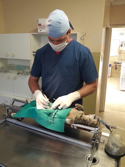 Photos of Lyttelton Animal Hospital