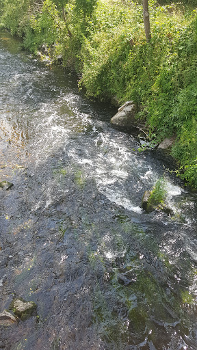 Lépanges - Visual