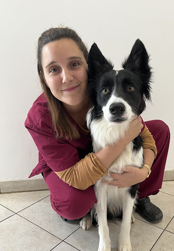Veterinary Clinic Doctor Oudart