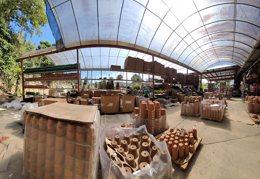 Byron Pike Nursery - Thumbnail