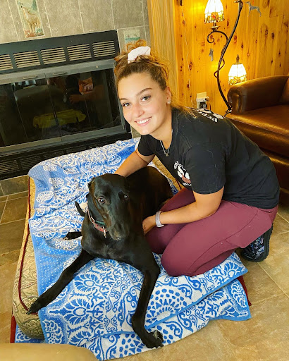 Perfect Paws House Calls Gallery - United States