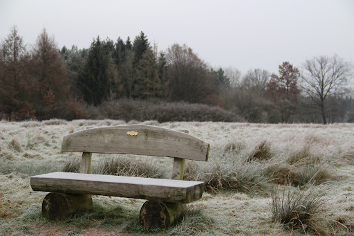 Lohe zwischen Wohltorf und Wentorf Gallery - Germany
