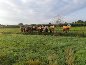 Photo n°1 de La Ferme Aux Trognes à Gerstheim (Ferme)