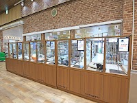 ペットショップCoo&RIKU 半田店