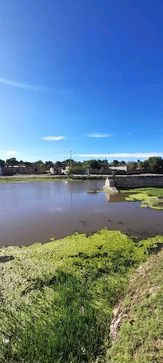 Pozo de Jarillas