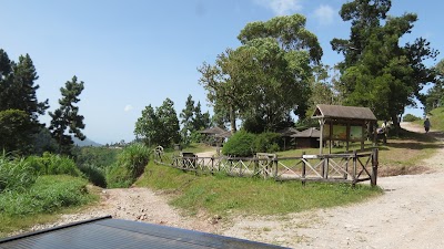 Photos of Holywell Park