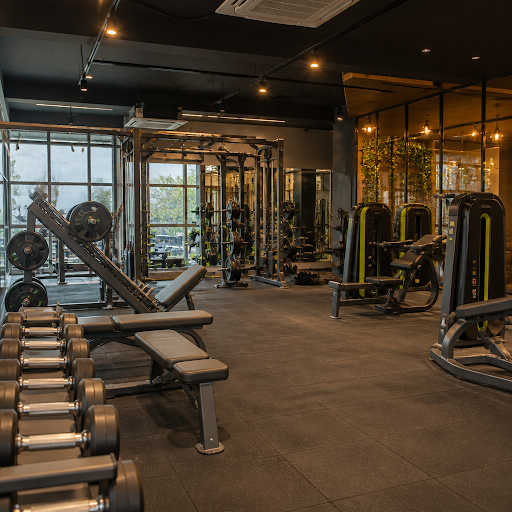 Looking for a gym near me in Surat that’s easy to reach, safe, and fully equipped? Shred Fitness… post image