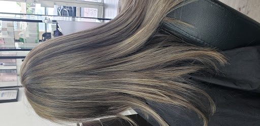 Steve's Salon - Visual