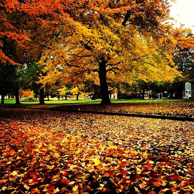 Photos of Tennessee Tech University