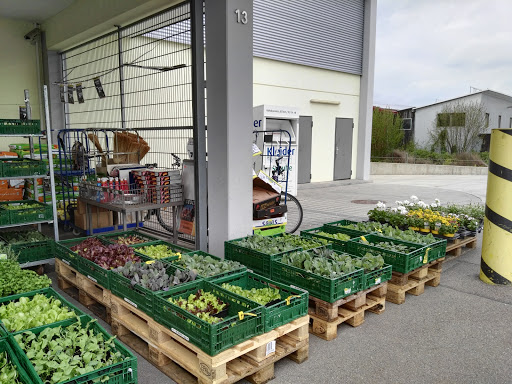 EDEKA Helmschrott - Visual