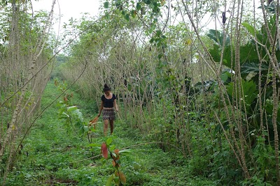 Photos of Salacuim