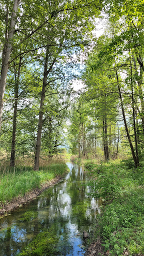 Lichtenauer Rheinniederung - Thumbnail