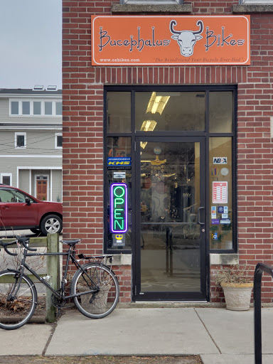 Bucephalus Bikes - Visual