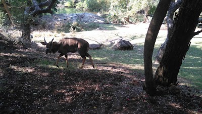 Photos of Blyde River Wilderness Lodge