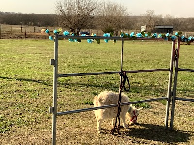 Four Points Ranch and Petting Zoo