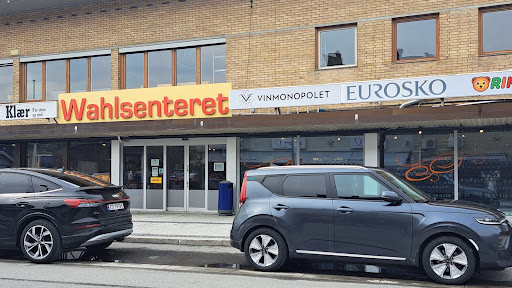 Euro sko