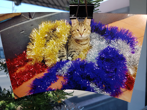 Greencross Vets Glen Eira - Thumbnail