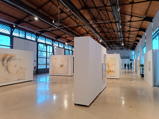 T1 Tinglado 1 Gallery - Spain