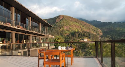 Photos of Tea Bush Ramboda- Oakray Hotels