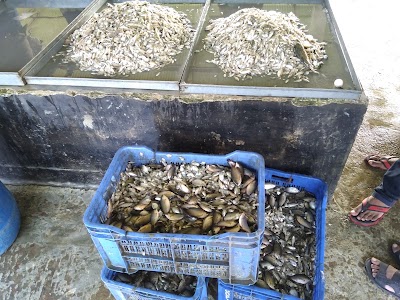 Photos of Akondo fish market