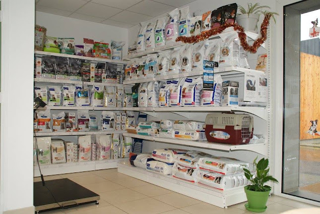 Clinique Vétérinaire de la Forge - Rennes