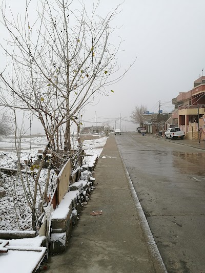 Photos of Sahand Company