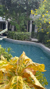 Chaweng Garden Beach Resort, Koh Samui by null