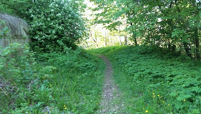 Photos of Virulase Puhkemaja
