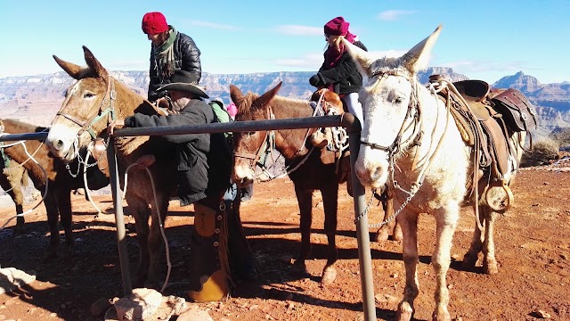 South Kaibab to Cedar Ridge