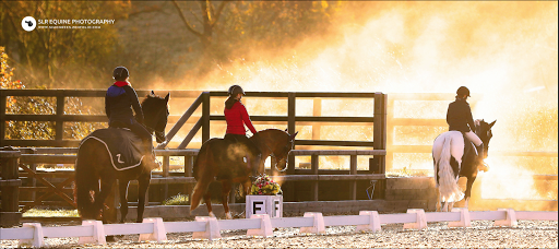 Beacons Equestrian