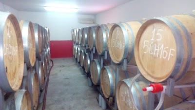 Photos of Lovico