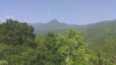 Photos of Nelliwala Sri Bhodirukkaramaya