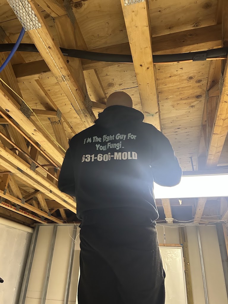 Long Island Mold Guy photo