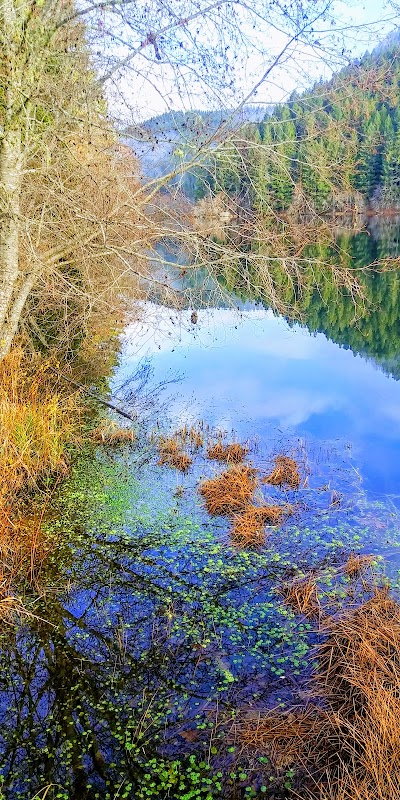 Upper Lake Creek