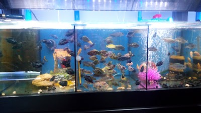 Photos of Hakim Restaurant