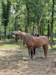 Photo n°13 de Equicoaching 82 - Développement professionnel et personnel à Montauban Tarn et Garonne à Puylaroque (Coaching professionnel)
