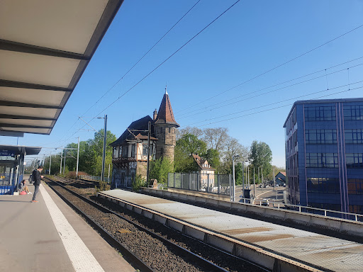 Krimmeri-Meinau