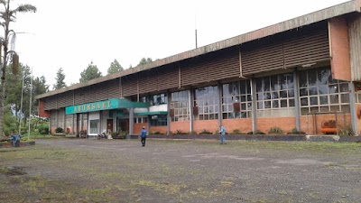 Photos of Tea Factory