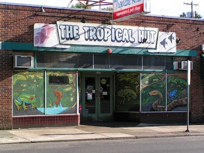 Tropical Hut