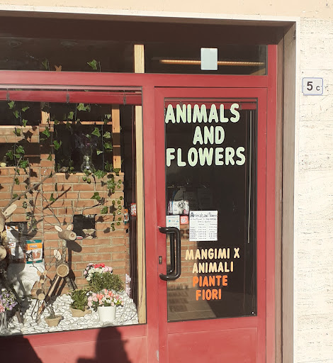 Animals end Flowers - Visual